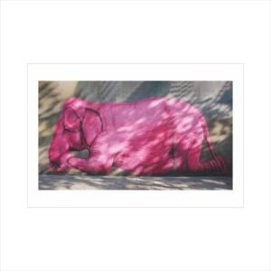 atvirukas rožinis dramblys